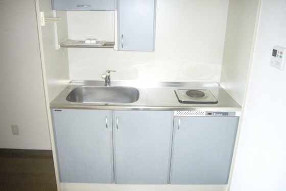 キッチン　他号室のお写真です