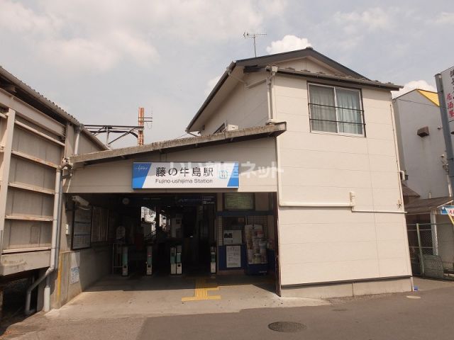 その他　藤の牛島（その他）まで545m