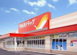 ドラックストア　ツルハドラッグ 石岡店（ドラッグストア）まで599m
