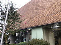 図書館　杉並区立阿佐谷図書館（図書館）まで158m