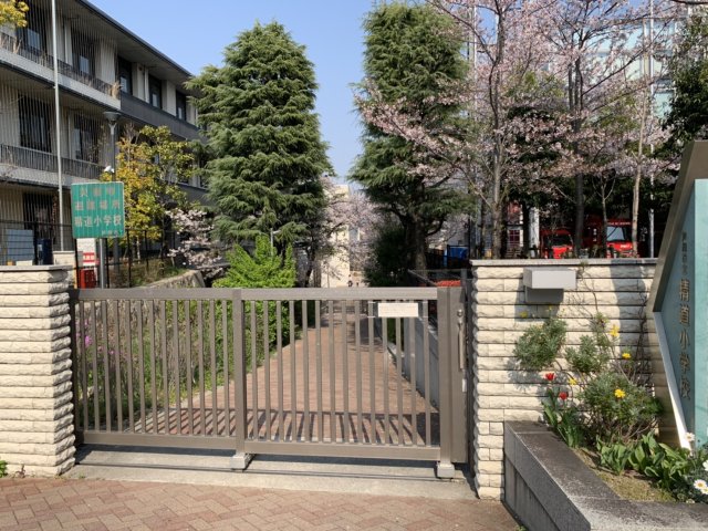 小学校　芦屋市立精道小学校（小学校）まで161m