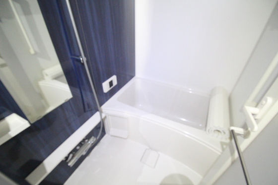 バス・シャワールーム　※別部屋の写真です