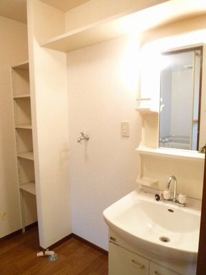 洗面設備　忙しい朝もこれでバッチリ♪シャワー付き洗面台