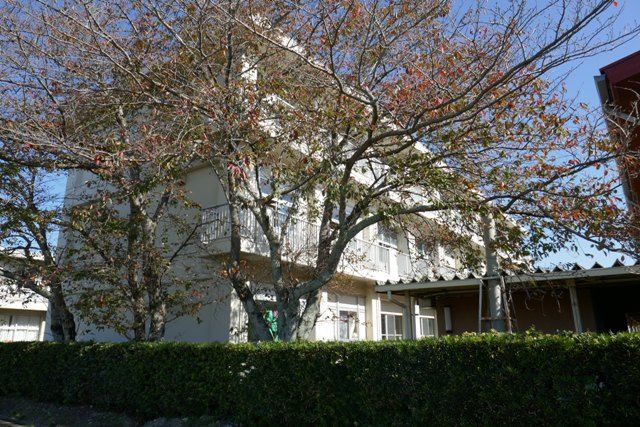 小学校　磐田市立岩田小学校（小学校）まで3732m