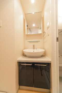 洗面設備　別部屋参考写真