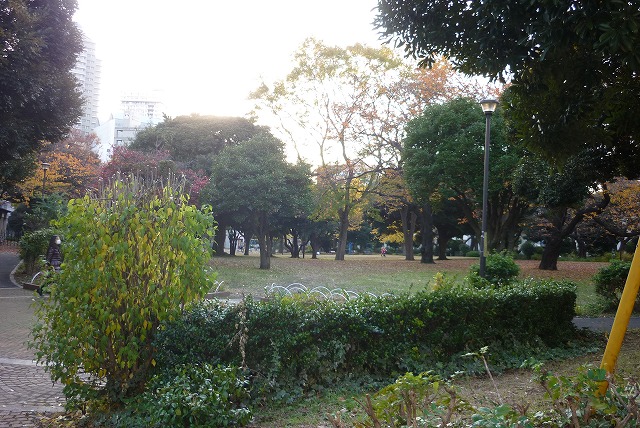 公園　神奈川公園（公園）まで185m