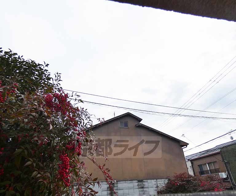 眺望　・１０１号室からの眺望です