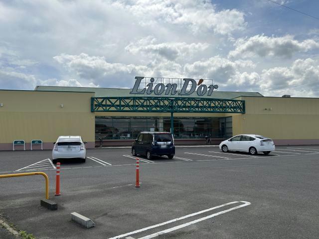 スーパー　リオン・ドール須賀川南店（スーパー）まで146m