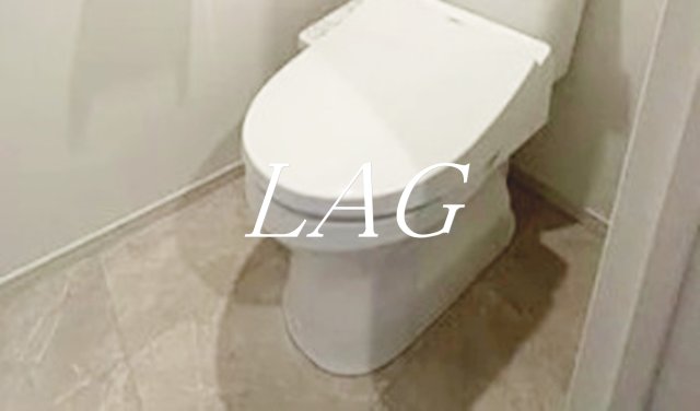 トイレ　トイレです。