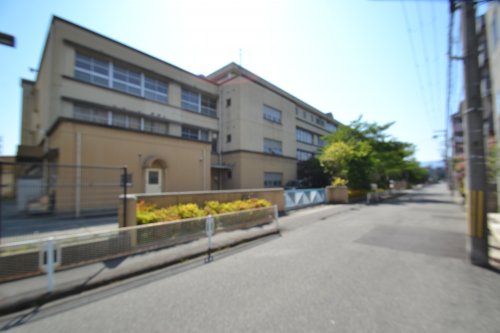 小学校　西宮市立鳴尾小学校（小学校）まで250m
