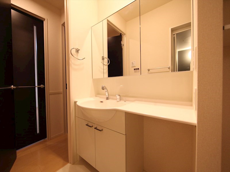 洗面設備　脱衣所　独立洗面台（シャンプードレッサー付）収納スペース有