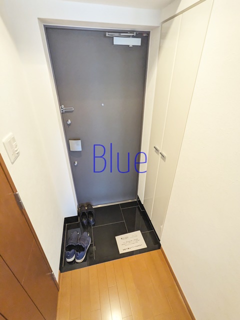 玄関　同じ仕様