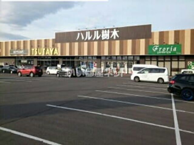 ショッピングセンター　ハルル樹木（ショッピングセンター）まで691m