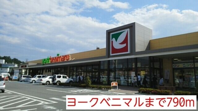スーパー　ヨークベニマル（スーパー）まで790m
