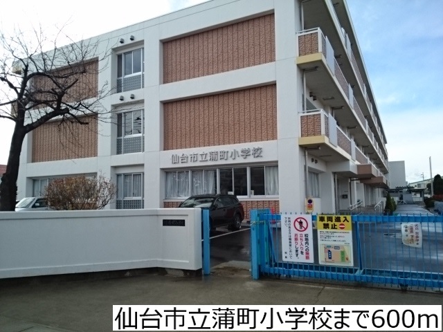 小学校　仙台市立蒲町小学校（小学校）まで600m