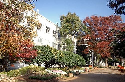 高校・高専　東京都立農業高等学校（高校・高専）まで570m