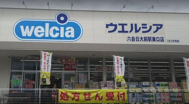ドラックストア　ウェルシア六会日大前駅東口店（ドラッグストア）まで815m