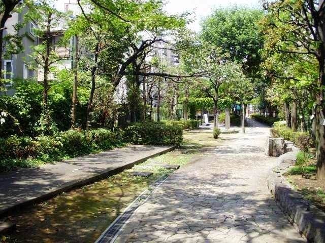 公園　石神井川緑道（公園）まで161m
