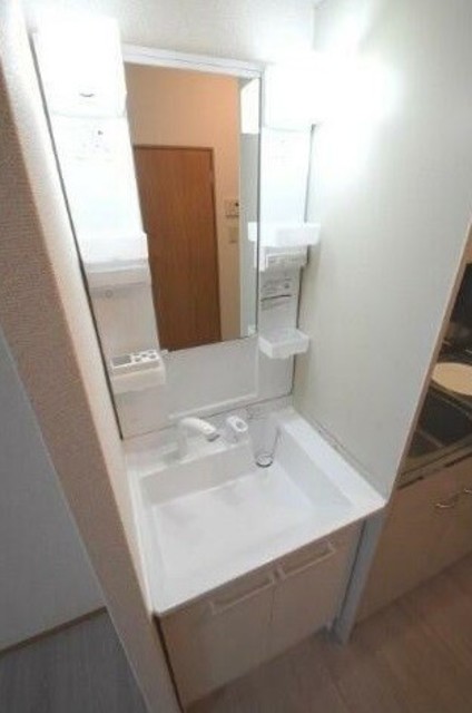 洗面設備　～あるとないとは大違い～別号室参考写真