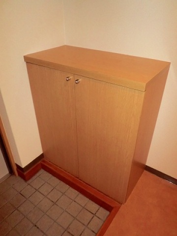 玄関　玄関から見た感じです♪