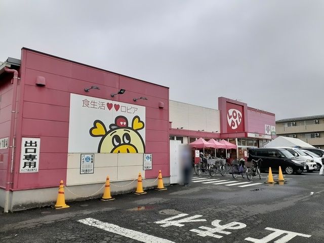 スーパー　ロピア（スーパー）まで110m