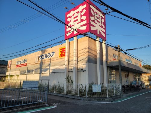 ドラックストア　ウエルシア尼崎西立花店（ドラッグストア）まで555m