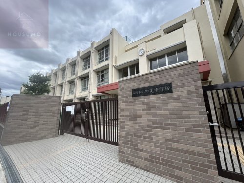 中学校　大阪市立加美中学校（中学校）まで414m