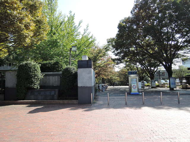 大学・短大　東海大学湘南キャンパス（大学・短大）まで1100m