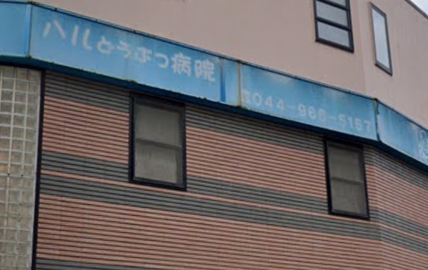 病院　ハルどうぶつ病院（病院）まで543m