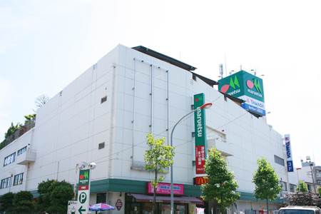 ホームセンター　ヤマダ電機テックランド武蔵中原店（ホームセンター）まで430m