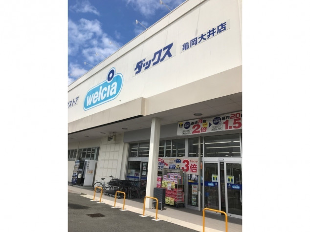 ドラックストア　ダックス亀岡大井店（ドラッグストア）まで330m