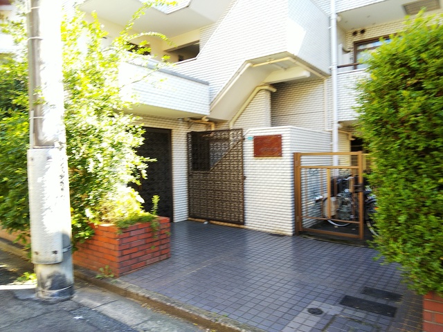 エントランス　エントランス