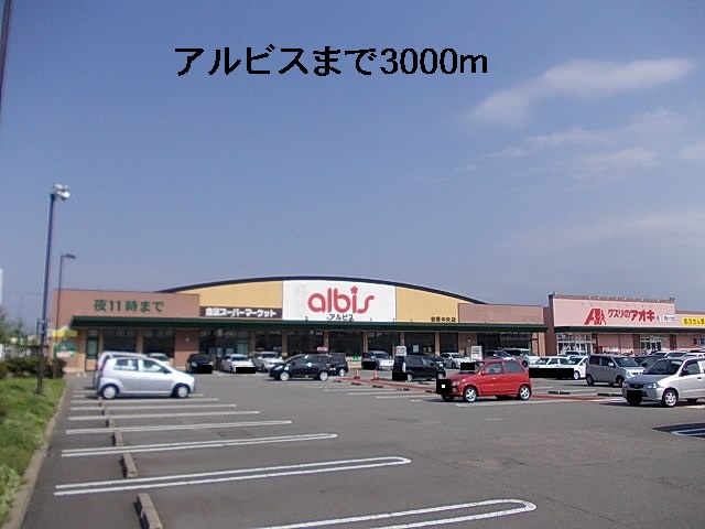 スーパー　アルビス（スーパー）まで3000m