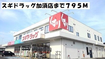 ドラックストア　スギドラッグ加須店（ドラッグストア）まで795m