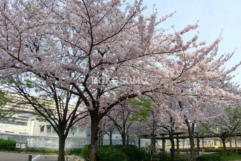 公園　下福島公園（公園）まで617m