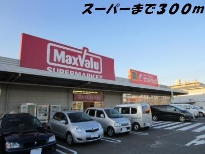 スーパー　マックスバリュ（スーパー）まで300m