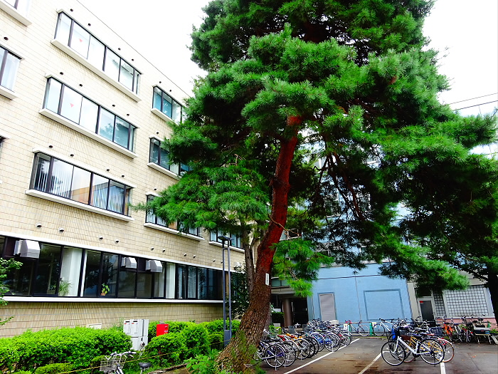 図書館　高千穂大学図書館（図書館）まで1090m