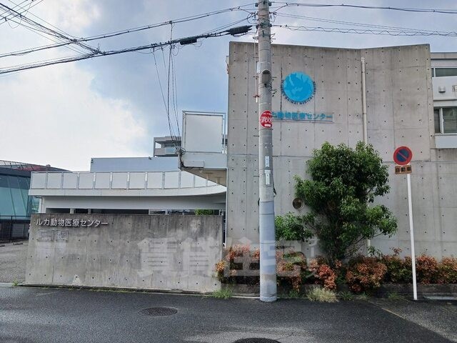 その他　ルカ動物医療センターまで600m