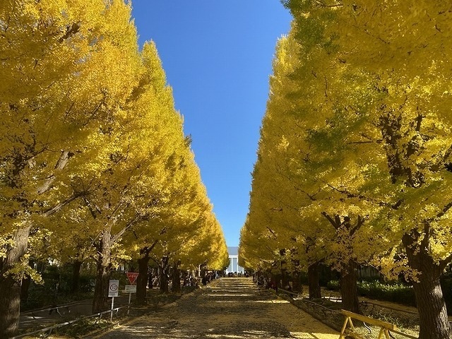 大学・短大　私立慶應義塾大学日吉キャンパス（大学・短大）まで485m