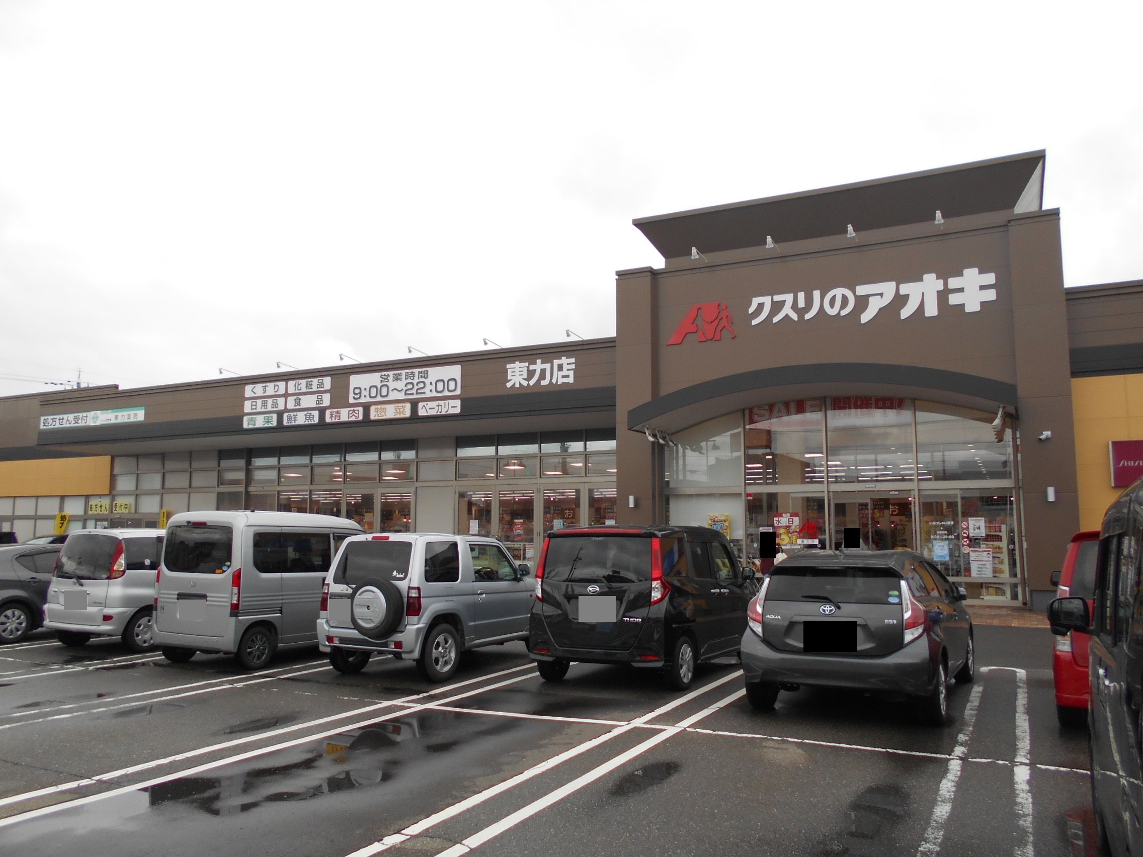 ドラックストア　クスリのアオキ東力店（ドラッグストア）まで1011m