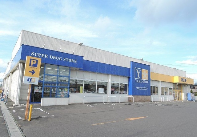 ドラックストア　薬王堂八戸新井田店（ドラッグストア）まで800m