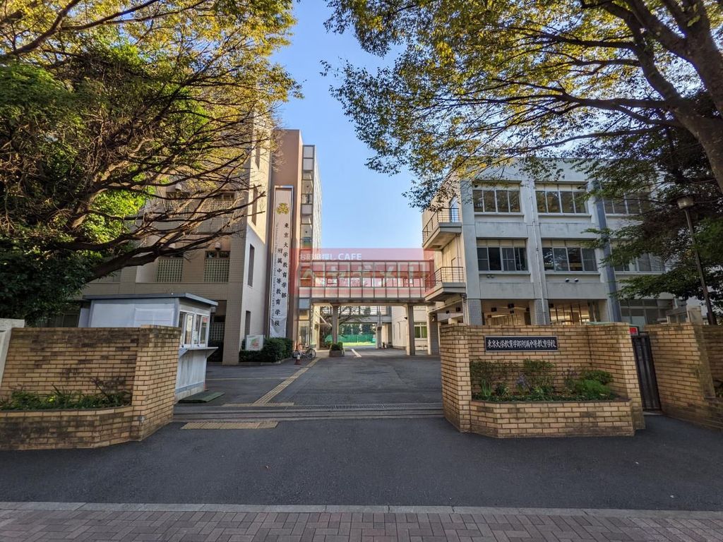 大学・短大　国立東京大学教育学部附属中等教育学校（大学・短大）まで1087m