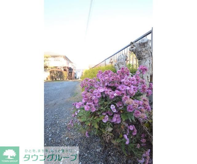 庭