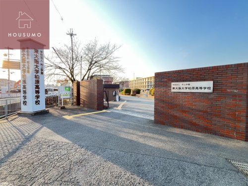 高校・高専　東大阪大学柏原高等学校（高校・高専）まで3661m