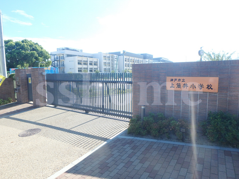 小学校　上筒井小学校（小学校）まで260m