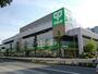 スーパー　サミットストア 砧環八通り店（スーパー）まで641m