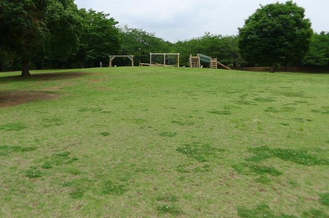 公園　柏の葉公園（公園）まで2610m