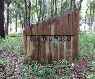 公園　金ヶ作自然公園（公園）まで882m