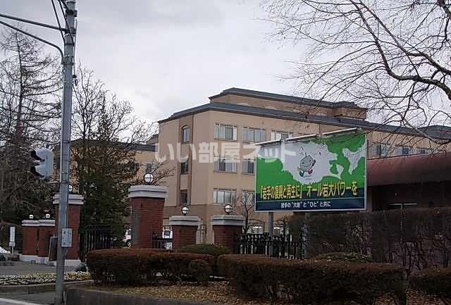 大学・短大　岩手大学（大学・短大）まで1162m