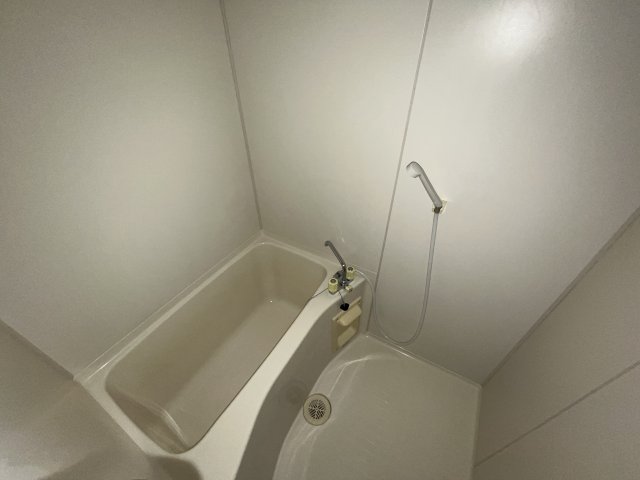 バス・シャワールーム　※別部屋写真参考※